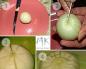 Onion chrysanthemum: master class