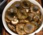 Kuhanje jela od bijelih mliječnih gljiva Što se može pripremiti od sirovih mliječnih gljiva