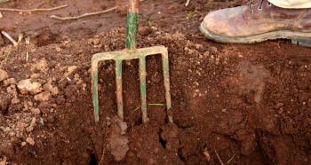 كيفية جعل التربة فضفاضة - نصائحي ومراجعاتي للطرق