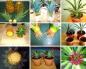 How to grow a pineapple at home from the top step by step How to grow greens from a pineapple